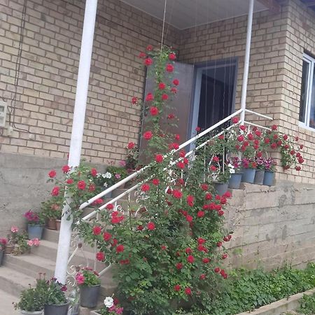Guest House Kyzyl Alma Arkit Екстер'єр фото