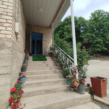 Guest House Kyzyl Alma Arkit Екстер'єр фото